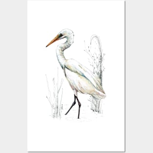 Mr Kotuku, New Zealand White Heron Posters and Art